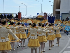 Parata carri allegorici, gruppi mascherati e meraviglie 2015. Foto 061