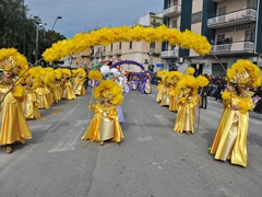 Parata carri allegorici, gruppi mascherati e meraviglie 2015. Foto 075