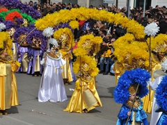 Parata carri allegorici, gruppi mascherati e meraviglie 2015. Foto 080