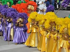 Parata carri allegorici, gruppi mascherati e meraviglie 2015. Foto 081