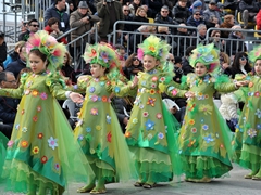 Parata carri allegorici, gruppi mascherati e meraviglie 2015. Foto 091