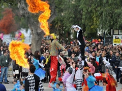 Parata carri allegorici, gruppi mascherati e meraviglie 2015. Foto 100