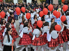 Parata carri allegorici, gruppi mascherati e meraviglie 2015. Foto 102