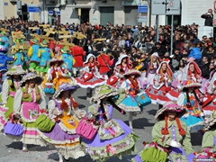 Parata carri allegorici, gruppi mascherati e meraviglie 2015. Foto 118