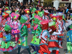 Parata carri allegorici, gruppi mascherati e meraviglie 2015. Foto 158