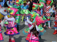 Parata carri allegorici, gruppi mascherati e meraviglie 2015. Foto 163