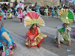 Parata carri allegorici, gruppi mascherati e meraviglie 2015. Foto 185