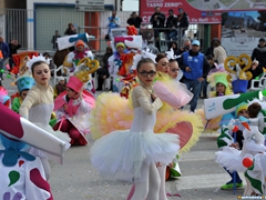 Parata carri allegorici, gruppi mascherati e meraviglie 2015. Foto 208