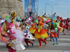 Parata carri allegorici, gruppi mascherati e meraviglie 2015. Foto 210