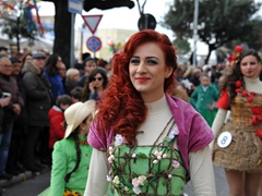Sfilata Carri allegorici, Gruppi e Meraviglie 2016. Foto 009