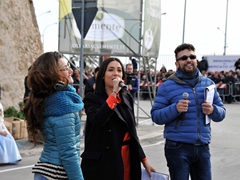 Sfilata Carri allegorici, Gruppi e Meraviglie 2016. Foto 016