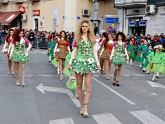 Sfilata Carri allegorici, Gruppi e Meraviglie 2016. Foto 021