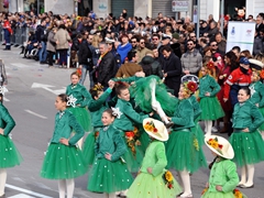 Sfilata Carri allegorici, Gruppi e Meraviglie 2016. Foto 025