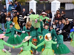 Sfilata Carri allegorici, Gruppi e Meraviglie 2016. Foto 028