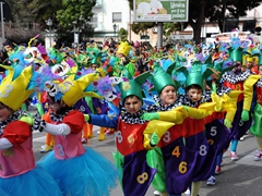 Sfilata Carri allegorici, Gruppi e Meraviglie 2016. Foto 071
