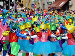 Sfilata Carri allegorici, Gruppi e Meraviglie 2016. Foto 078