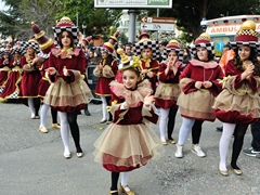 Sfilata Carri allegorici, Gruppi e Meraviglie 2016. Foto 102