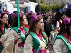 Sfilata Carri allegorici, Gruppi e Meraviglie 2016. Foto 172