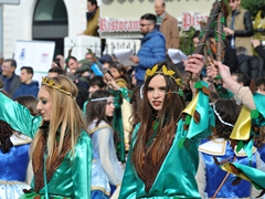 Sfilata Carri allegorici, Gruppi e Meraviglie 2016. Foto 182