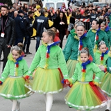 Carnevale di Manfredonia, parata dei carri e gruppi 2017. Foto 037