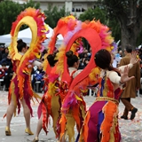 Carnevale di Manfredonia, parata dei carri e gruppi 2017. Foto 107