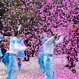 Carnevale di Manfredonia, parata dei carri e gruppi 2017. Foto 110