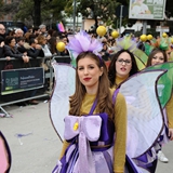 Carnevale di Manfredonia, parata dei carri e gruppi 2017. Foto 208