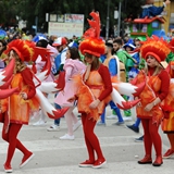 Carnevale di Manfredonia, parata dei carri e gruppi 2017. Foto 224