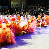 Carnevale di Manfredonia - Parata serale carri e Gruppi 2017. Foto 159