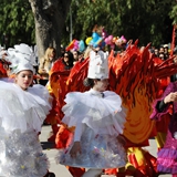 sfilata delle meraviglie 2017 - Foto - 203