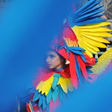 Sfilata delle Meraviglie 2018 - Foto - 172