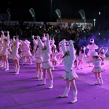 Sfilata della notte colorata. Foto 053