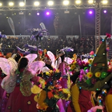 Sfilata della notte colorata. Foto 106