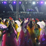 Sfilata della notte colorata. Foto 107