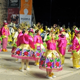 Sfilata della notte colorata. Foto 142