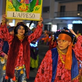 Sfilata della notte colorata. Foto 170