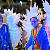 Sfilata della notte colorata. Foto 178