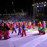 Sfilata della notte colorata. Foto 191