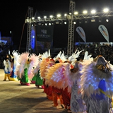 Sfilata della notte colorata. Foto 203