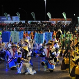 Sfilata della notte colorata. Foto 253