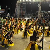 Sfilata della notte colorata. Foto 254