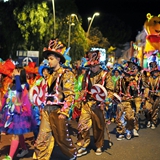 Sfilata della notte colorata. Foto 349