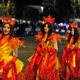 Sfilata della notte colorata. Foto 352