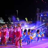 Sfilata della notte colorata. Foto 355