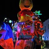 Sfilata della notte colorata. Foto 362