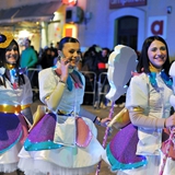 Sfilata della notte colorata. Foto 382