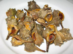 Murici