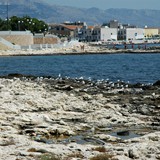 inaugurazione_lungomare_del_sole_manfredonia_foto_032