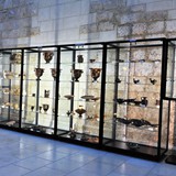 mostra_permanente_reperti_ceramiche_puglia_antica_foto_054