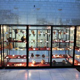mostra_permanente_reperti_ceramiche_puglia_antica_foto_055